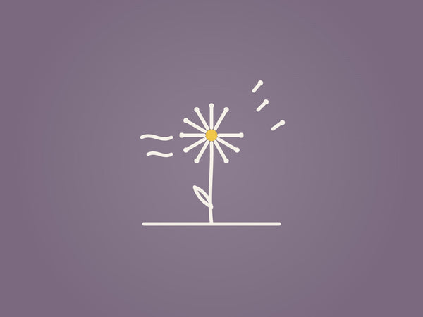 Zeichnung: eine Pusteblume, Samen fliegen davon